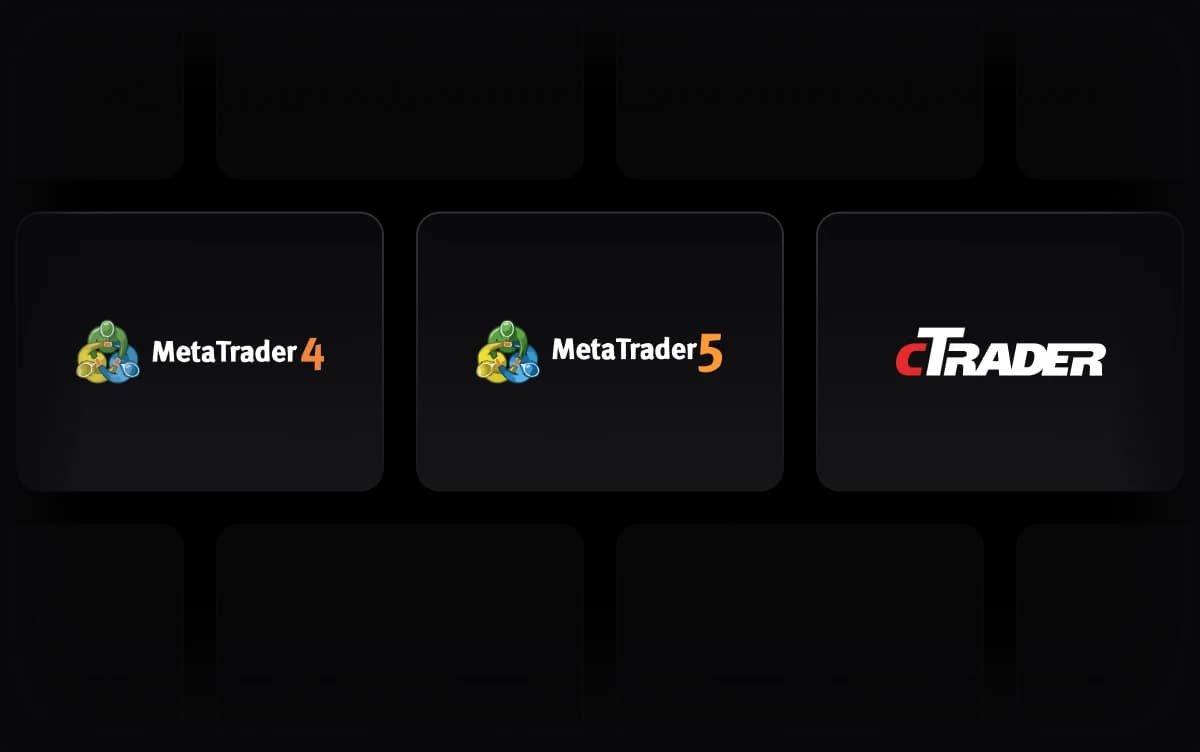 FOREX KNIGHTS Trading Platforms